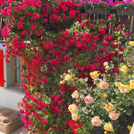 Διαμέρισμα Gaby